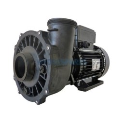 Pump - Executive 56F - 2.0HP - 2 Speed  2 x 2