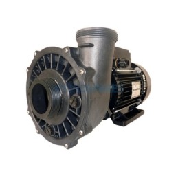 Pump - Executive 48F - 2.0Hp - 1 Speed  2 x 2