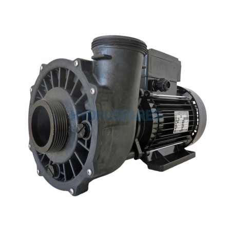 Pump - Executive 56F - 3.0HP - 2 Speed  2 x 2.5