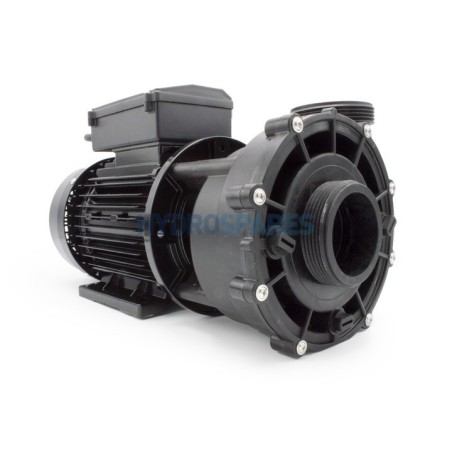 Pump - LP300 - 1 Speed - 3.0Hp 2 x 2