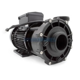 Pump - WP200-II - 2 Speed - 2.0Hp 2 x 2