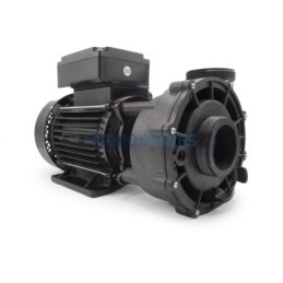 Pump - HS PRO FLOW - 1 Speed - 2.0Hp  2 x 2 48F