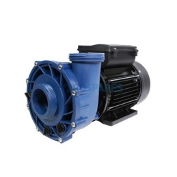 Pump - Gecko MAELSTROM MS-1  2.5Hp 2 Speed MS-1-3.0 2.5 230V 50Hz 90 FR