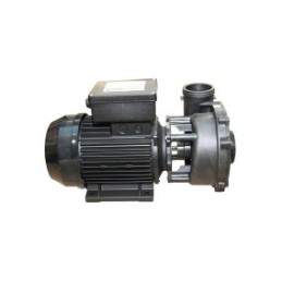 Waterway | Executive Euro Pump - 3 HP Dual Speed